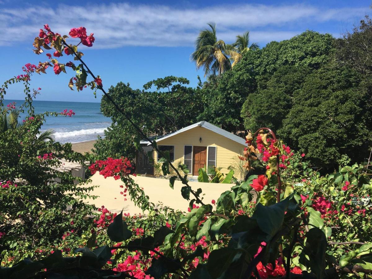 Katamah Beachfront Guesthouse Трежер-Біч Екстер'єр фото